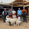 How To Build a Modern Rustic Log Home in Denmark Today