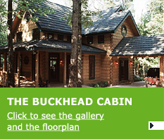 THE BUCKHEAD CABIN